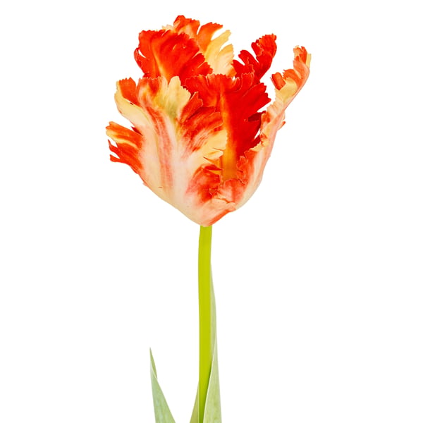 Hill Interiors Parrot Tulip Artificial Flower
