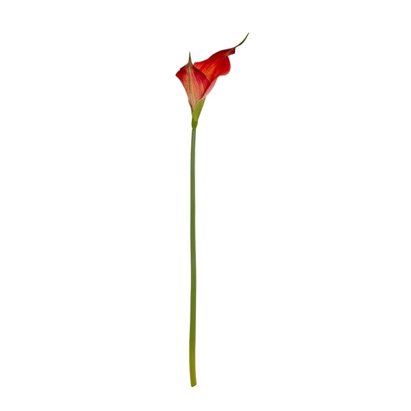 Hill Interiors Fireball Calla Lily Artificial Flower