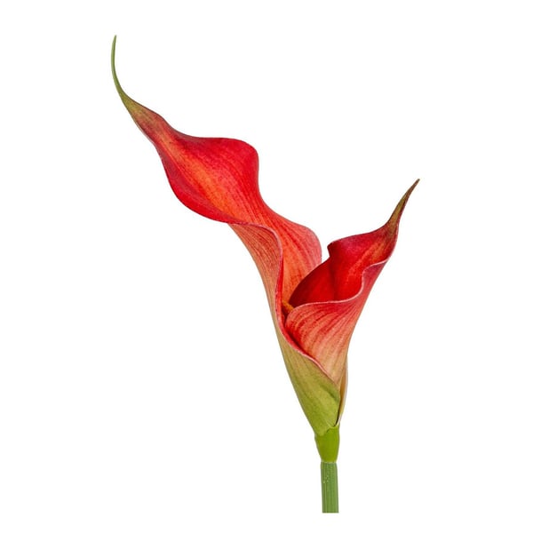Hill Interiors Fireball Calla Lily Artificial Flower