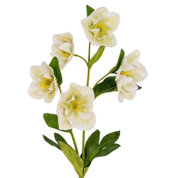 Hill Interiors Hellebore tekokukka