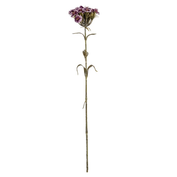 Hill Interiors Dianthus tekokukkaoksat