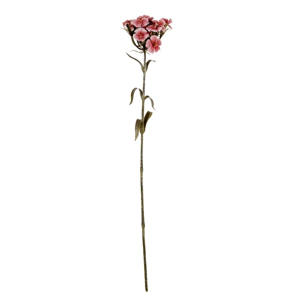 Hill Interiors Dianthus tekokukkaoksat