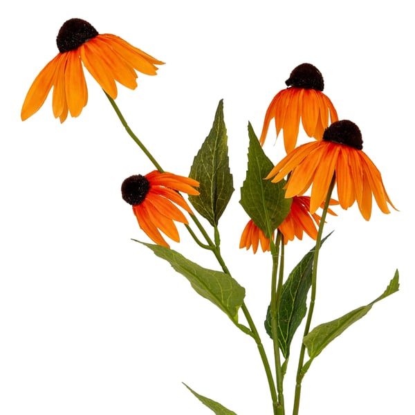Hill Interiors Echinacea tekokukkasuihke