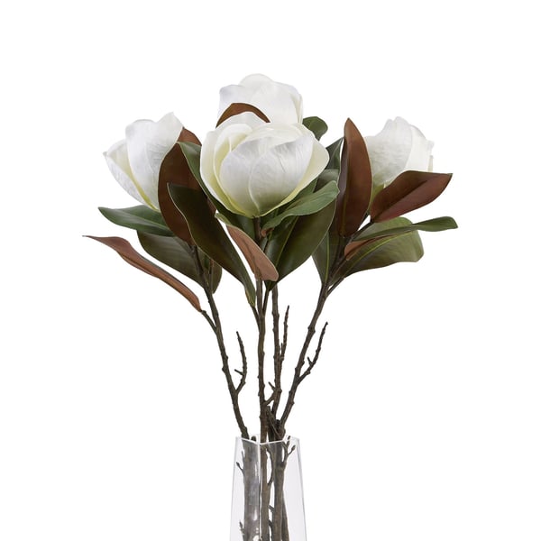 Hill Interiors Magnolia tekokukka
