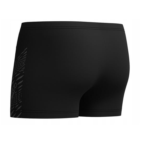 Speedo Mens Medley Logo Swim Shorts