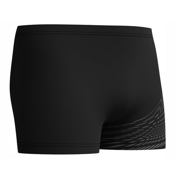 Speedo Mens Medley Logo Swim Shorts