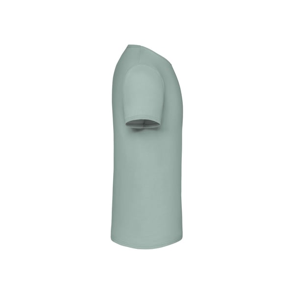 Fruit of the Loom Unisex aikuisten ikoninen T-paita