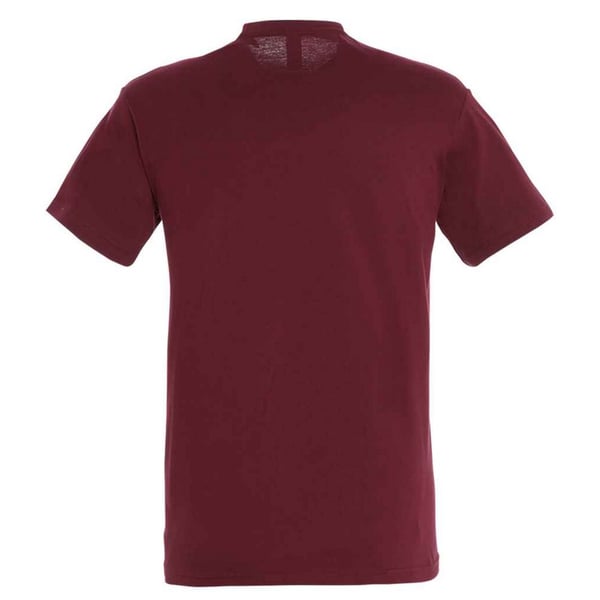 SOLS Unisex aikuisten Regent T-paita