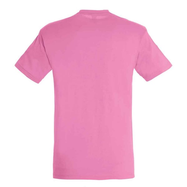 SOLS Unisex aikuisten Regent T-paita