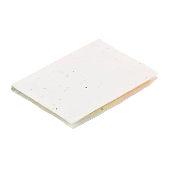 MidOcean Vison Seed Sticky Notes