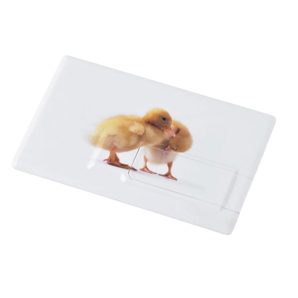 MidOcean Memorama 16GB Memory Stick