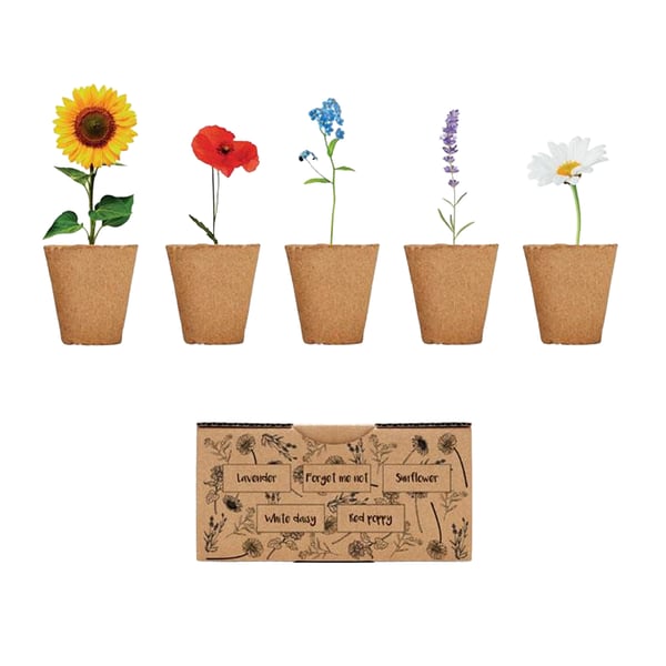 MidOcean Flowers Kukkien Siemenet