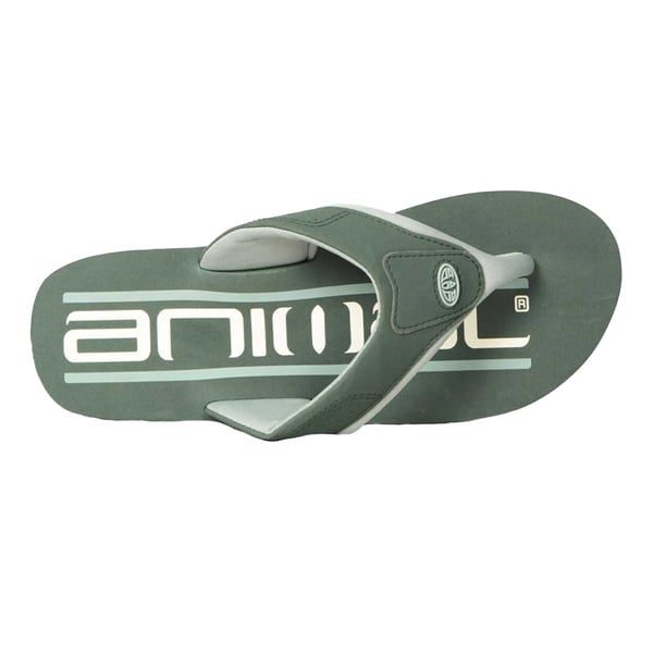 Animal Mens Jekyl Recycled Flip Flops