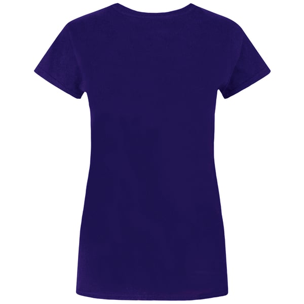 Flash Womens/Ladies Distressed Logo T-Shirt
