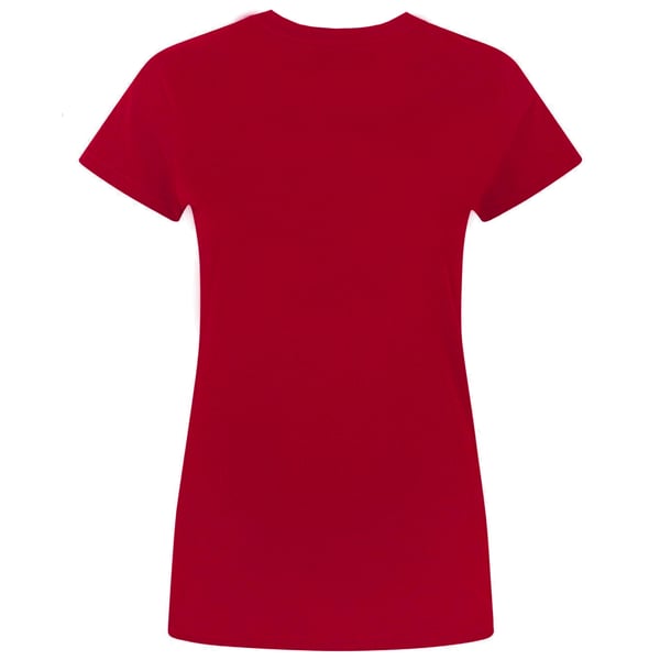 Flash Womens/Ladies Distressed Logo T-Shirt