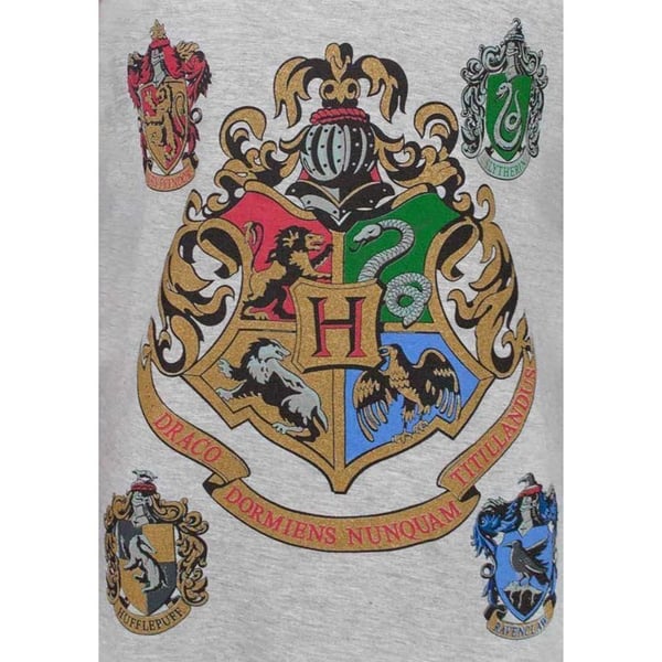 Harry Potter Official Girls Hogwarts Raglan T-Shirt