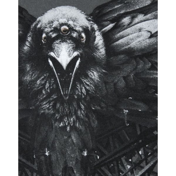 Game of Thrones Mens Three Eyed Raven Vest