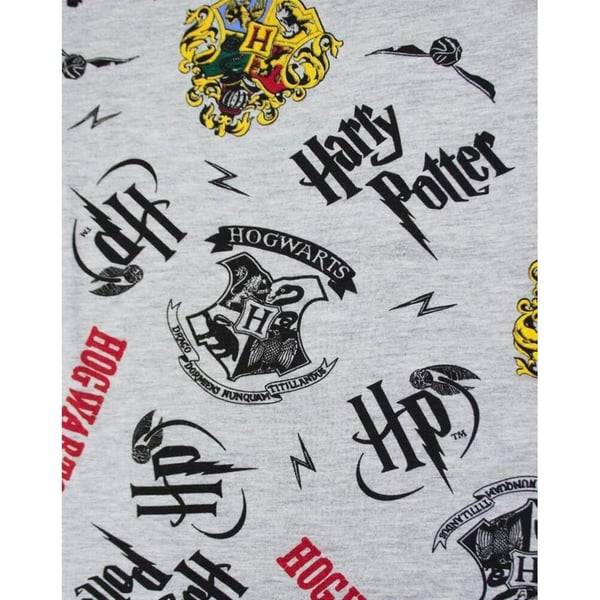 Harry Potter Mens Hogwarts Crest Lounge Pants