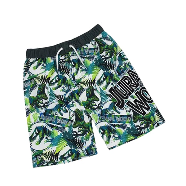 Jurassic World Boys Dinosaur Swim Shorts