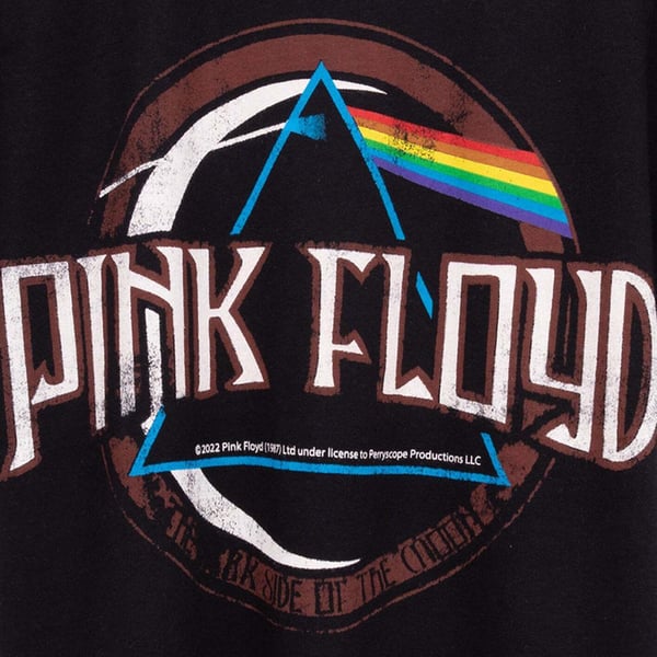 Pink Floyd Childrens/Kids Dark Side Of The Moon Band T-Shirt