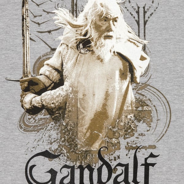 The Lord Of The Rings Mens Gandalf Heather T-Shirt