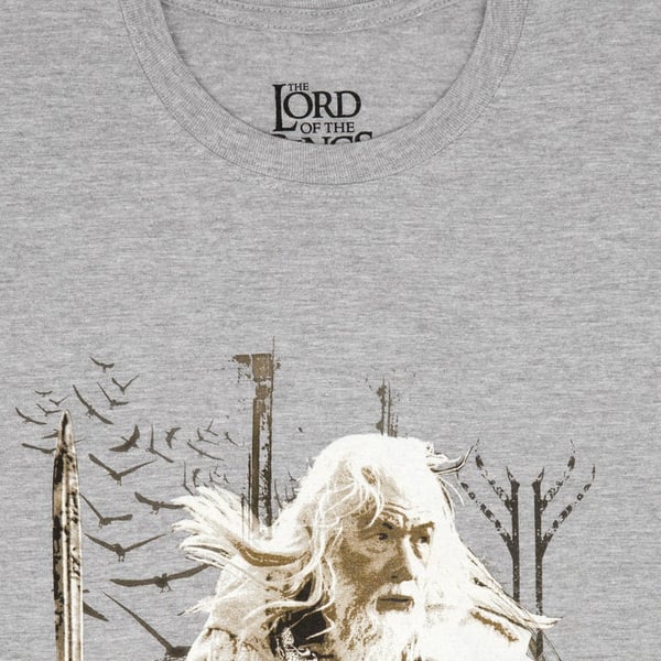 The Lord Of The Rings Mens Gandalf Heather T-Shirt