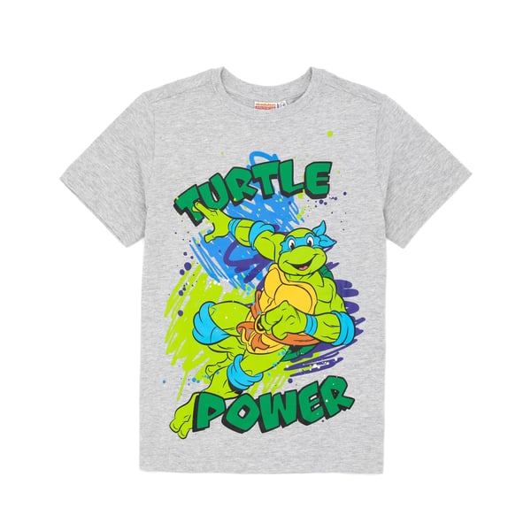 Teenage Mutant Ninja Turtles Childrens/Kids T-Shirt (Pack of 2)