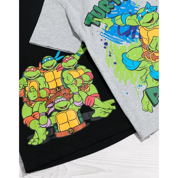 Teenage Mutant Ninja Turtles Childrens/Kids T-Shirt (Pack of 2)