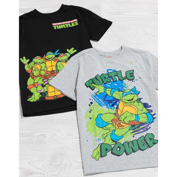 Teenage Mutant Ninja Turtles Childrens/Kids T-Shirt (Pack of 2)