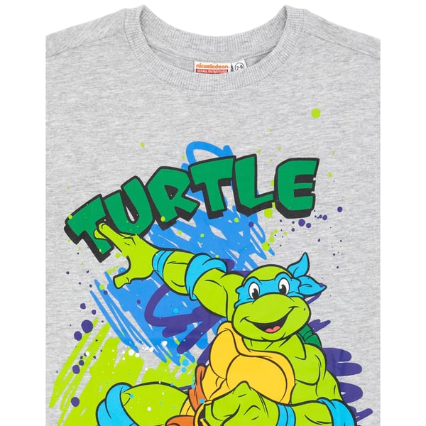Teenage Mutant Ninja Turtles Childrens/Kids T-Shirt (Pack of 2)