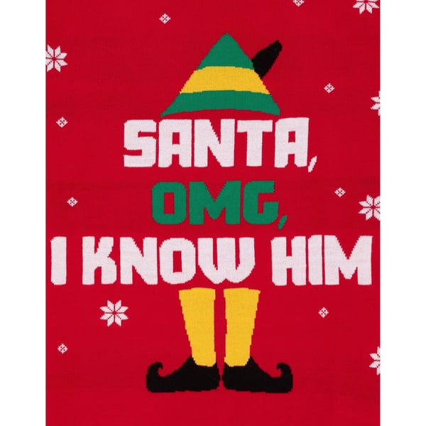 Elf Unisex Adult Knitted Christmas Jumper