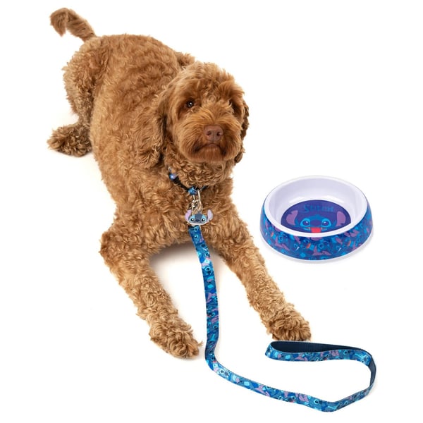 Lilo & Stitch Dog Collar Set (Pack Of 4)