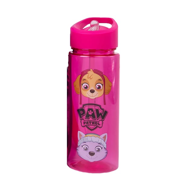 Paw Patrol Girls Skye & Everest Backpack Set (Pack Of 4)