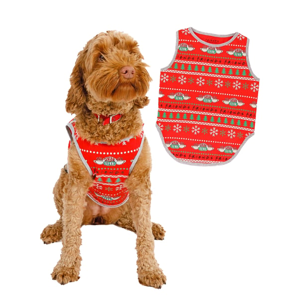 Friends Christmas Dog Top