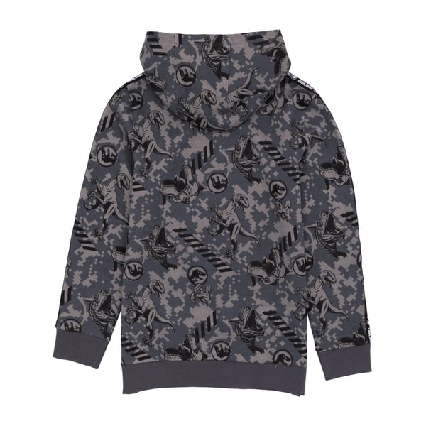 Jurassic World: Camp Cretaceous Childrens/Kids Logo Hoodie