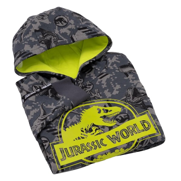 Jurassic World: Camp Cretaceous Childrens/Kids Logo Hoodie