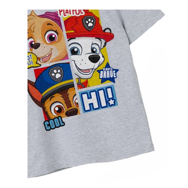 Paw Patrol Boys Peekaboo T-Shirt