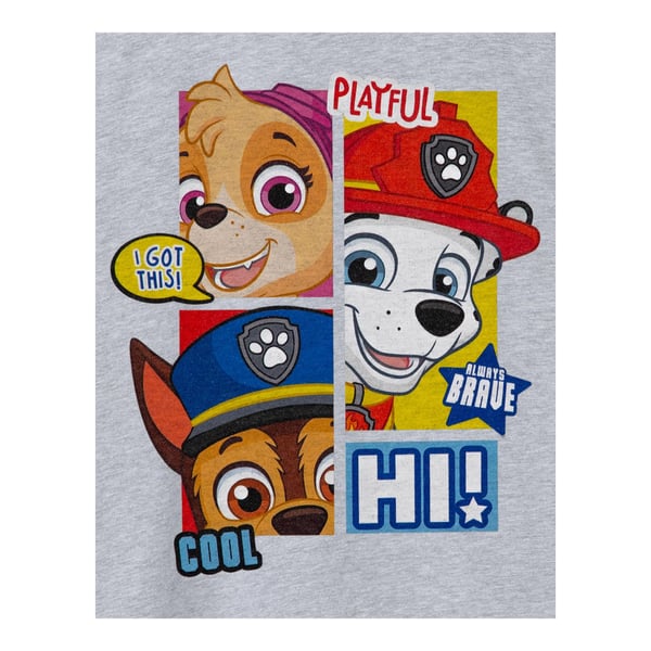 Paw Patrol Boys Peekaboo T-Shirt