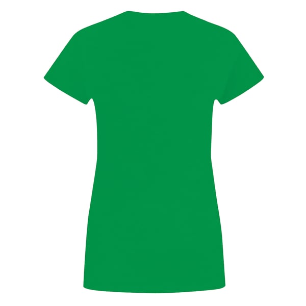 Green Lantern Womens/Ladies Emblem T-Shirt