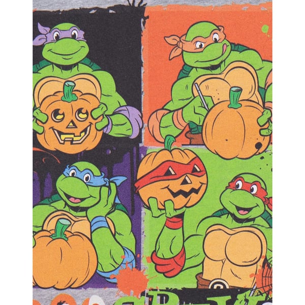 Teenage Mutant Ninja Turtles Childrens/Kids Boo Crew Marl T-Shirt
