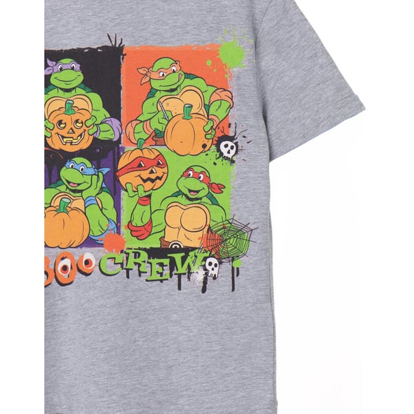 Teenage Mutant Ninja Turtles Childrens/Kids Boo Crew Marl T-Shirt