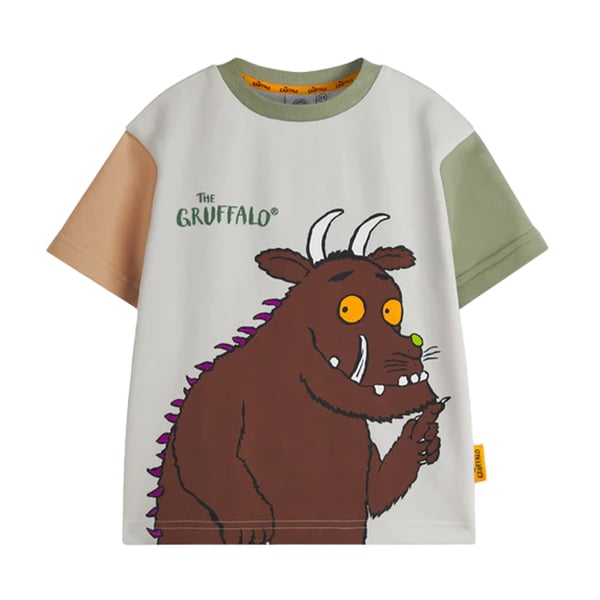 The Gruffalo Boys Colour Block T-Shirt & Shorts Set