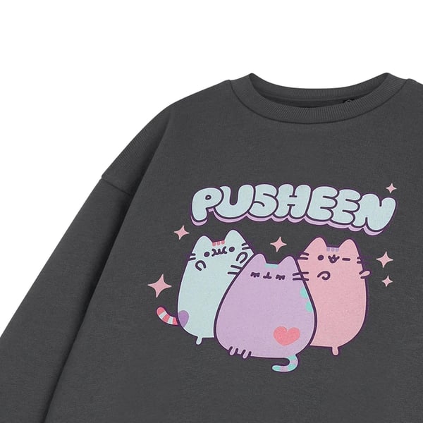 Pusheen Girls Pastel Sweatshirt