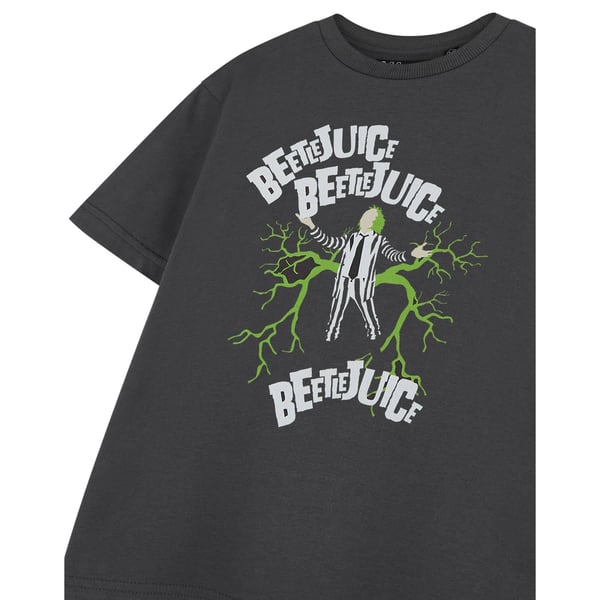 Beetlejuice Beetlejuice lasten lyhythihainen T-paita