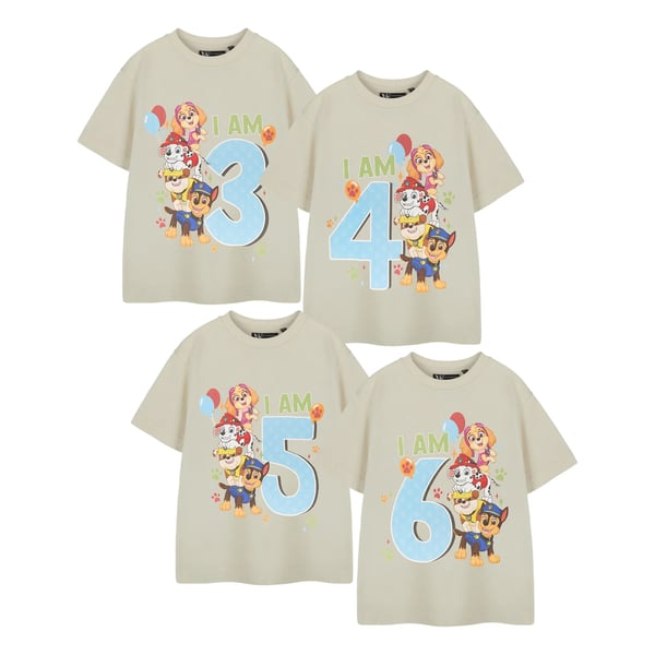 Paw Patrol Boys I Am 3 Short-Sleeved Birthday T-Shirt