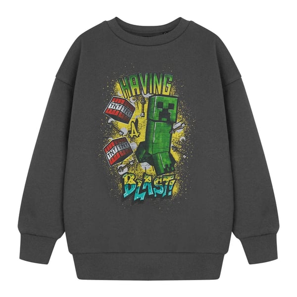 Minecraft Boys Having A Blast Sweatshirt