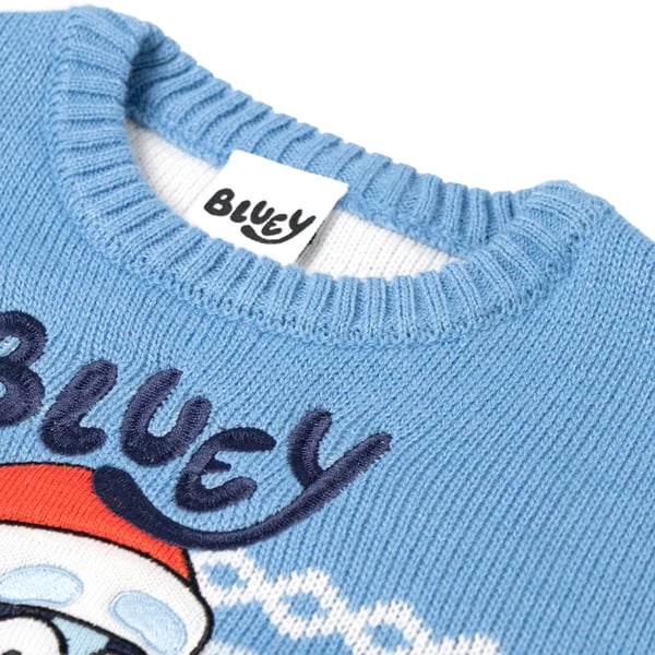 Bluey Boys Character Christmas Jumper