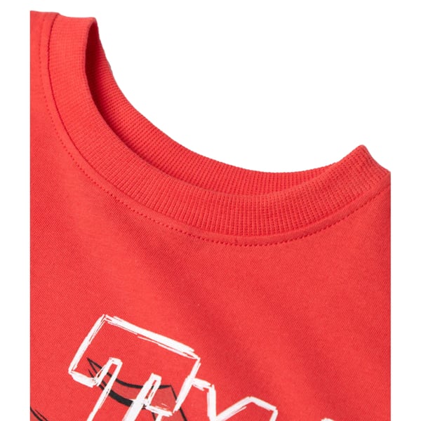 Teenage Mutant Ninja Turtles Boys Raphael T-Shirt