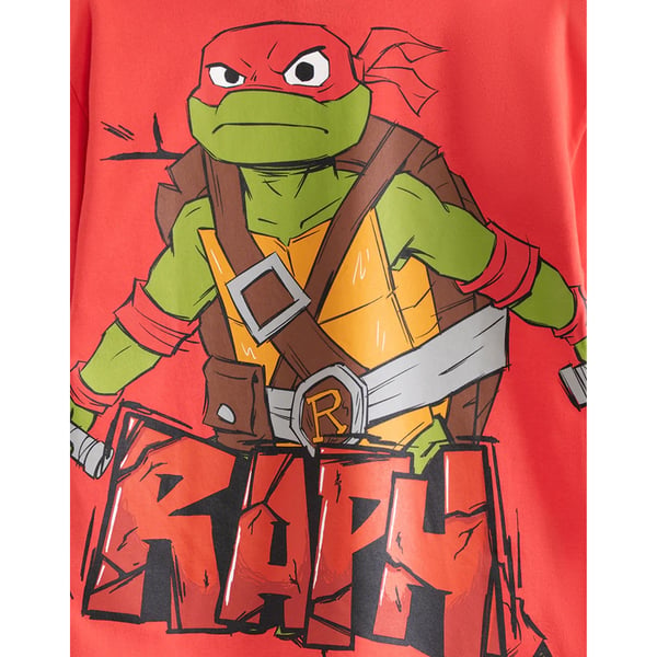 Teenage Mutant Ninja Turtles Boys Raphael T-Shirt