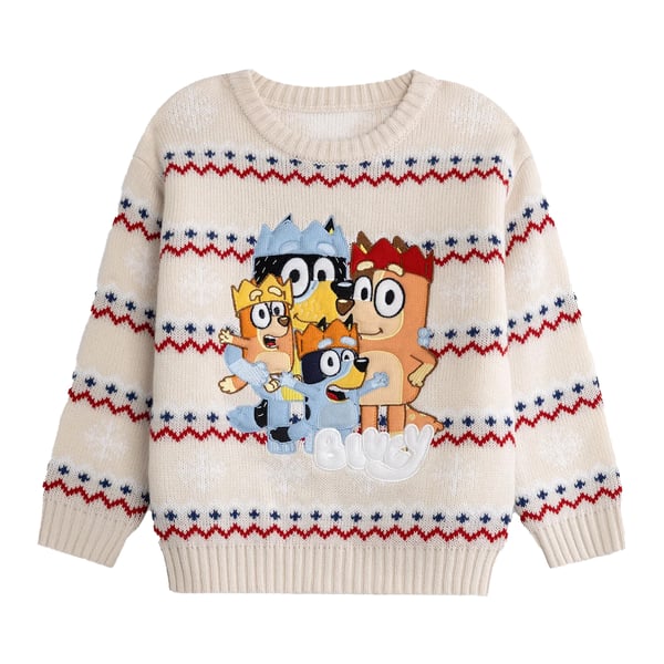 Bluey Childrens/Kids Family Christmas Jumper